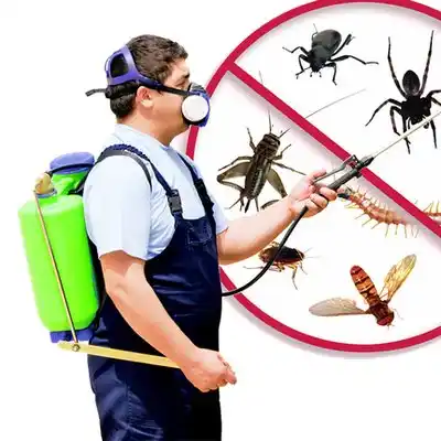 pest control McLeansville